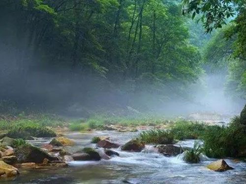 張家界千總生態(tài)食品有限公司,豆類(lèi)食品生產(chǎn)加工銷(xiāo)售